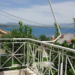 Erato Petalidi