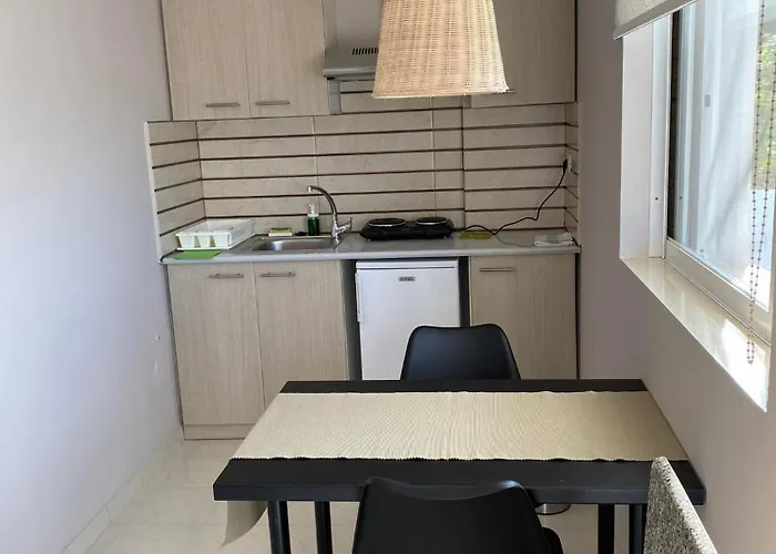 Erato * Petalídhion